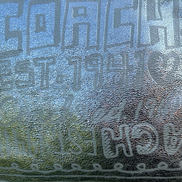 Coach Poppy Silver Spotlight Limited Edition Story Patch Leather Bag RARE 15899 - Picture 13 of 16